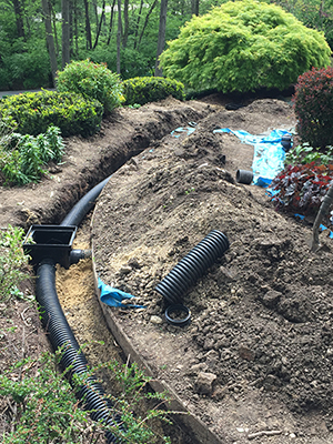 Drainage Solutions Sachse