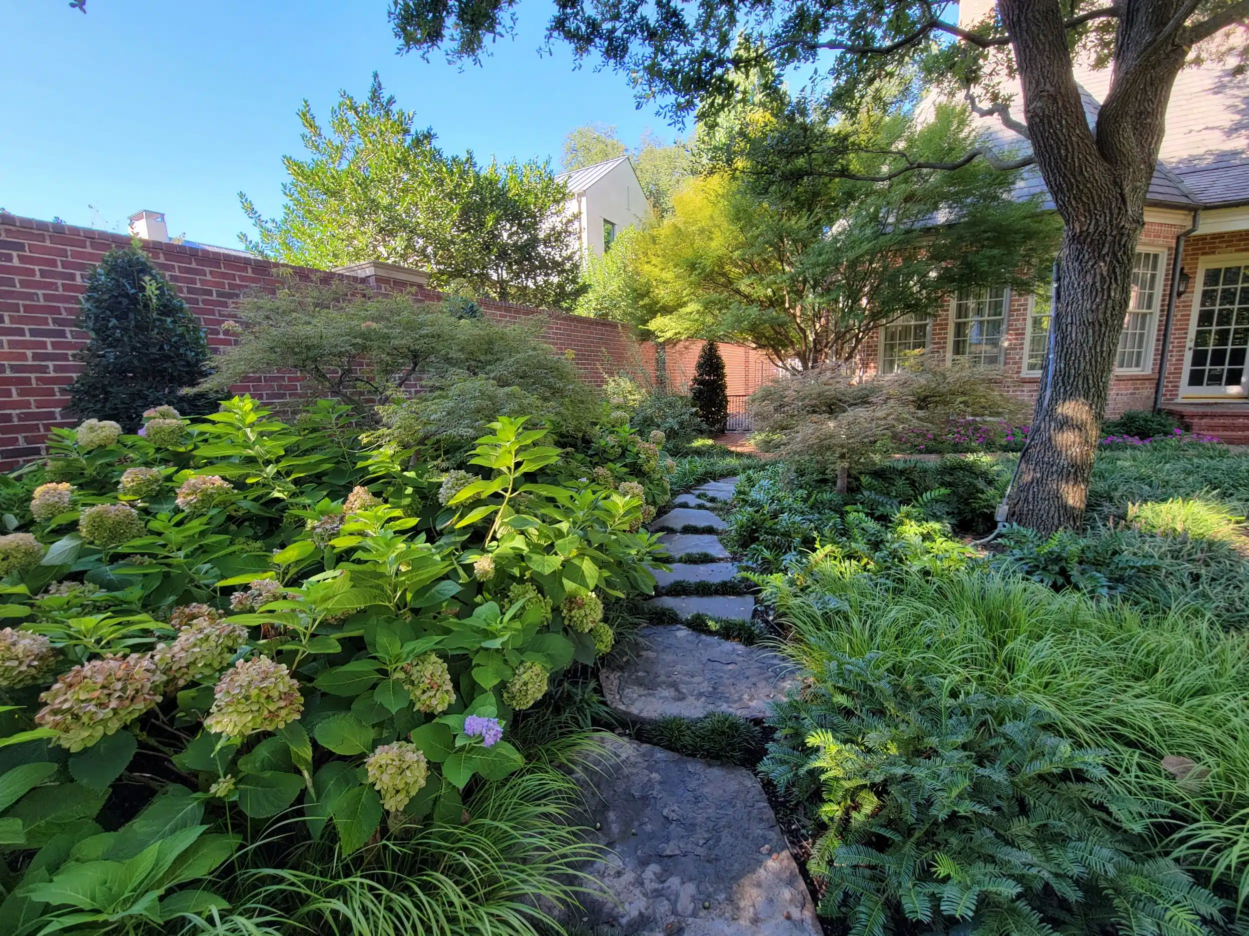 Landscape Design Sachse